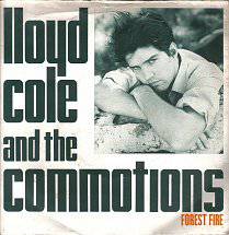 Lloyd Cole : Forest Fire